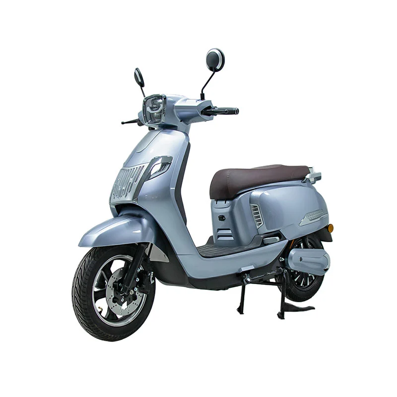 Electric Motorbike for Adults 10 Inch 800W Motorcycle