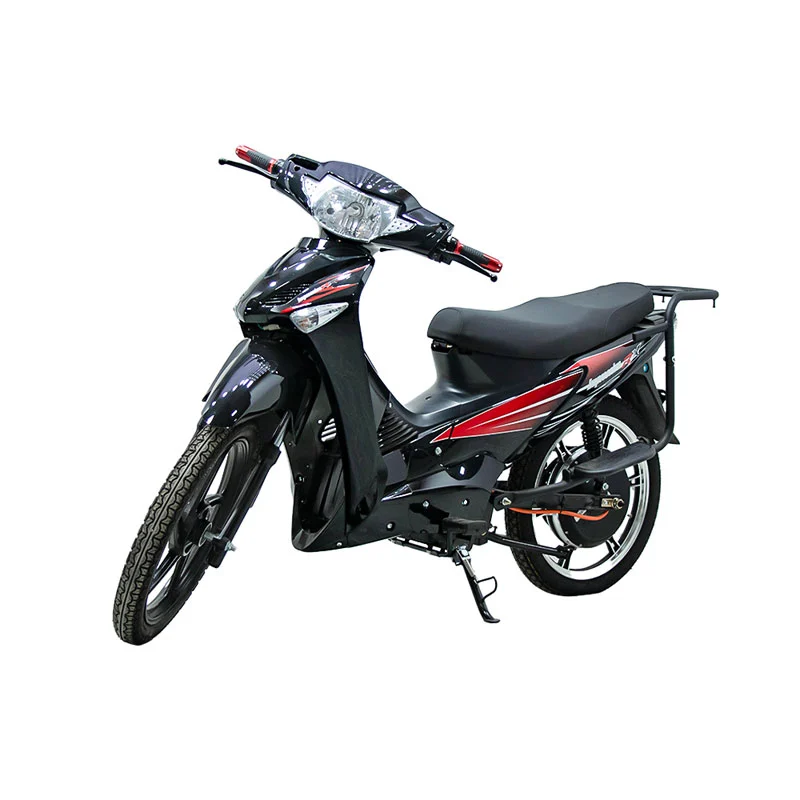 Electric Motorbike for Off Road with 17 Inch