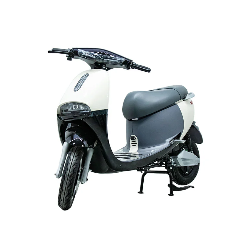 Electric Motorbike with 10 Inch 1000W Motorcycle