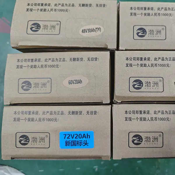 Electric Scooter Leadacid Battery Charger