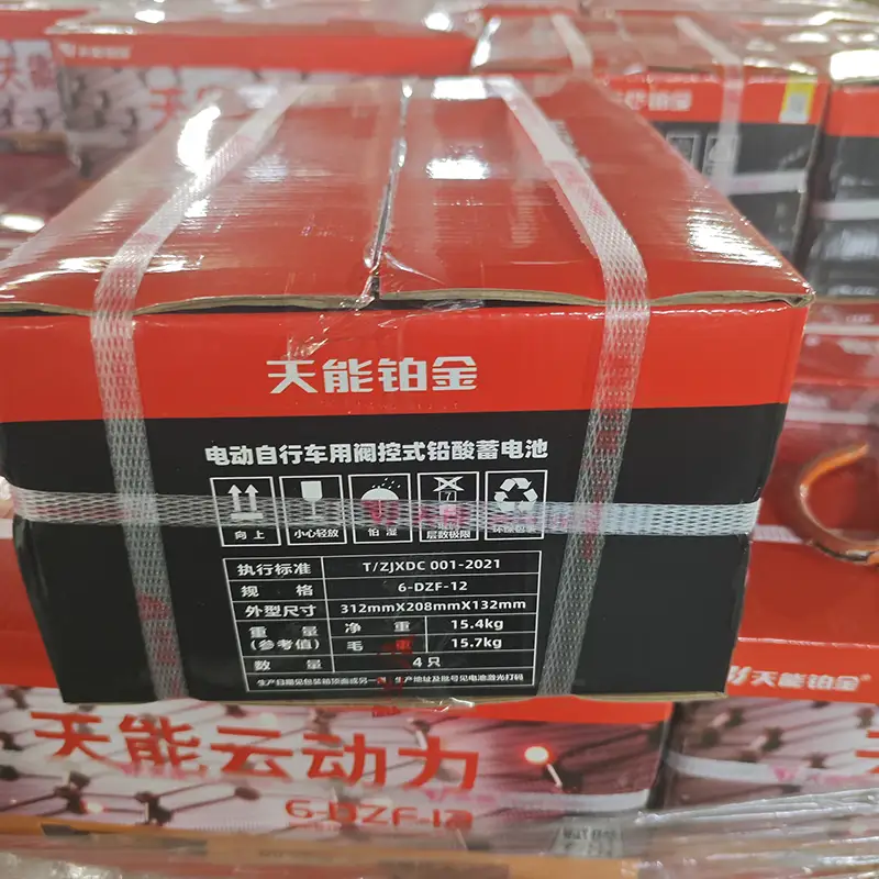 Valve Regulated Sealed Lead Acid Battery 48v 72v 12a
