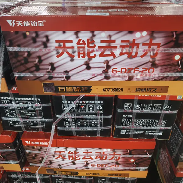 Valve Regulated Sealed Lead Acid Battery 48v 72v 20a