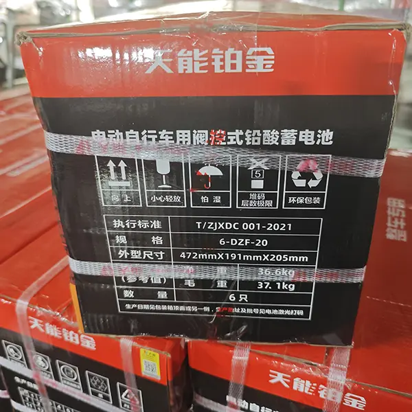 Valve Regulated Sealed Lead Acid Battery 48v 72v 20a