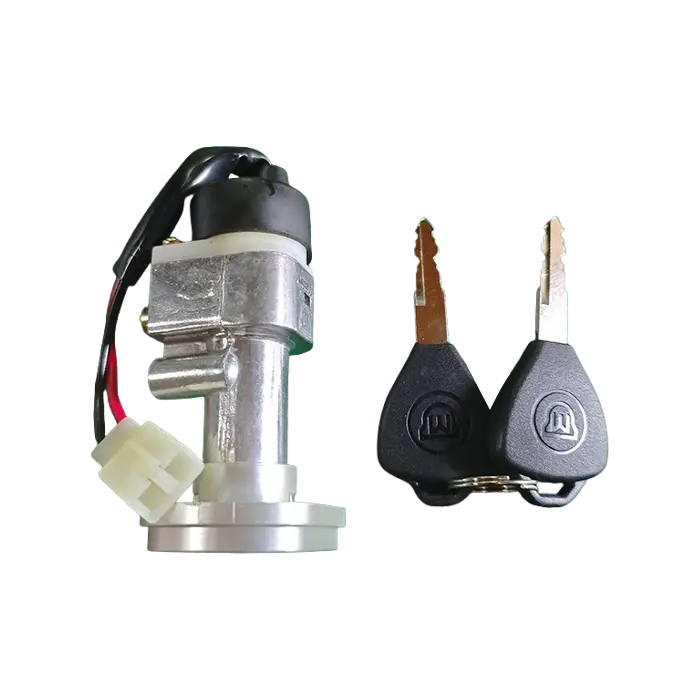 Main Switch with 2 Types Lock for Electric Scooter